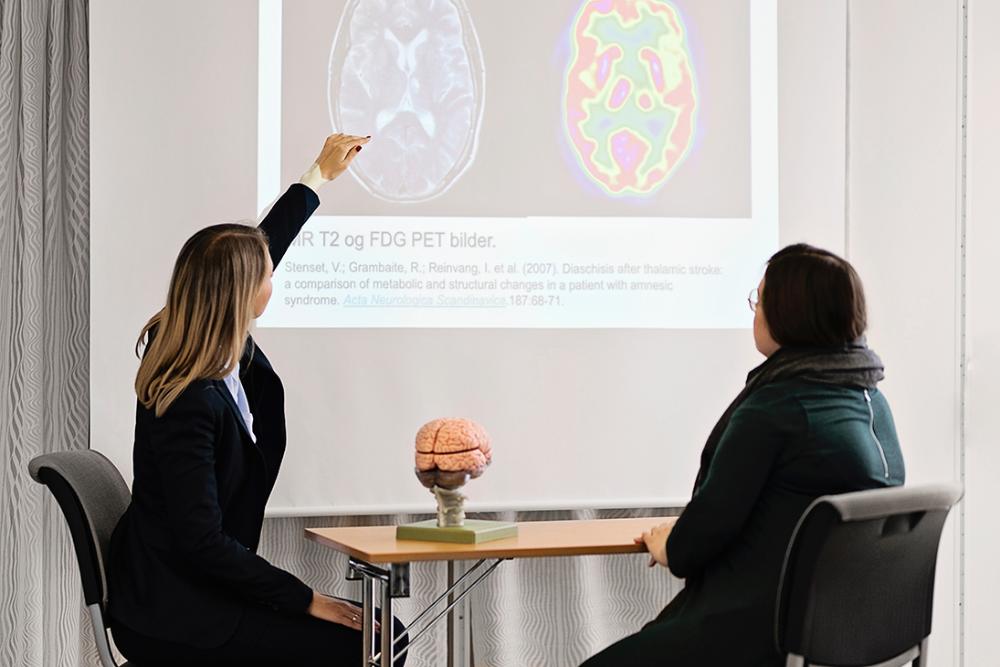 Illustration two people looking at a brain on a whiteboard