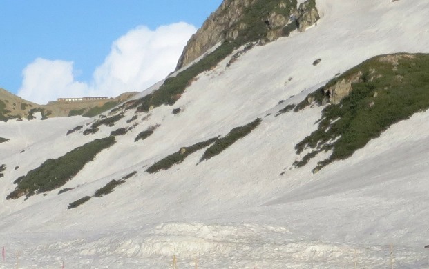 The Norwegian-Japanese Al-Mg-Si Alloy precipitation project. The meeting was held in the mountain area Tateyama, 2500 meters above sea level, close to Toyama.