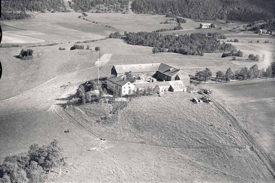 Air photo of Dragvoll Farm, summer of 1952