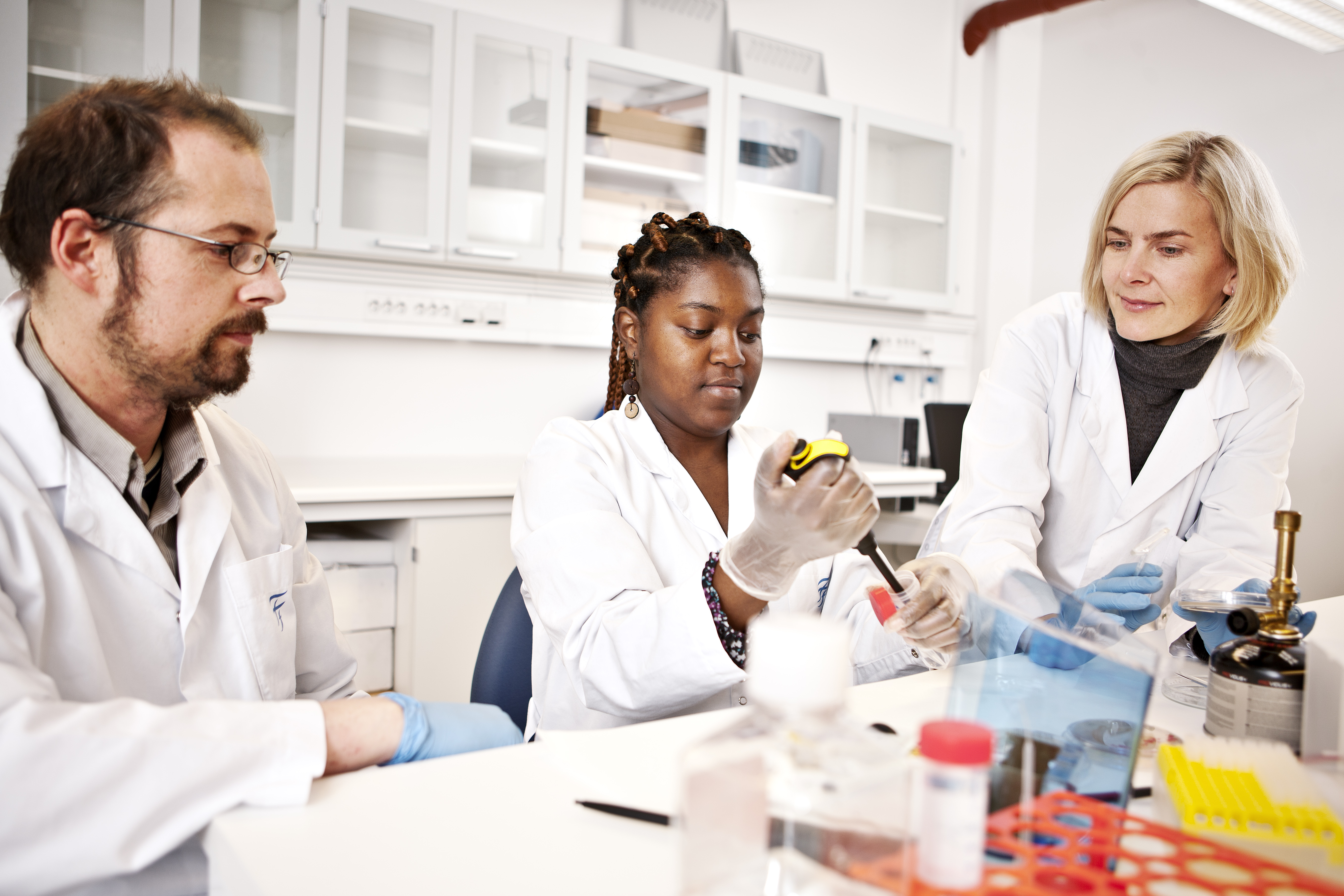 Students in the laboratorium