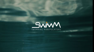 SWIMM video