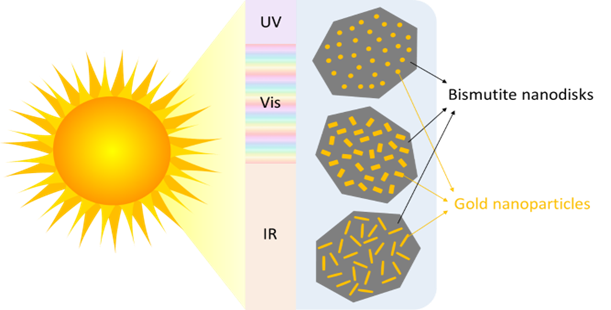 Illustration of enhanced solar-light harvesting brought about by fine tuning the shape of gold nanoparticles deposited on bismutite nanodisks, 