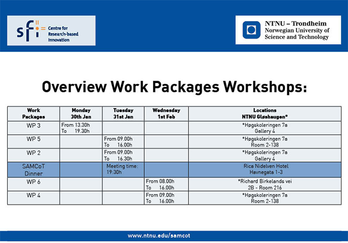 Work shop programme