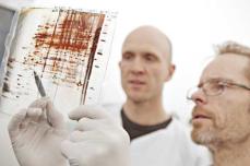 PROMEC, Lars Hagen and Geir Slupphaug
