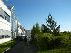 Summer at Dragvoll campus