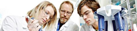 Studies at NTNU. Photo: Geir Mogen