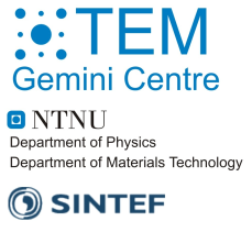 TEM Gemini logo