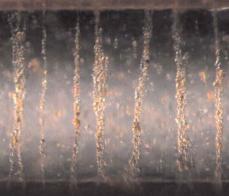 Microscopy picture of ER chains obtained from applying a 1 kV/mm electric field to a suspension of Na-Fh clay crystallite aggregates in a silicone oil. Photo: Yves Méheust
