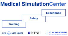 Logo simulation center