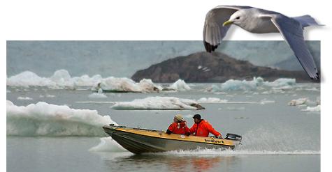 Kongsfjorden, Spitsbergen. Photo by Per Harald Olsen