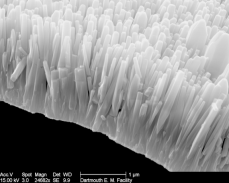 ZnO Nanowires