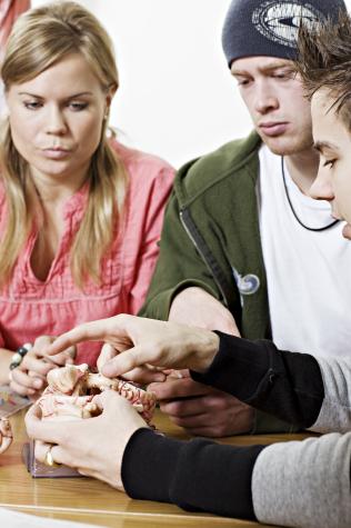 Students at the Faculty of Medicine, NTNU