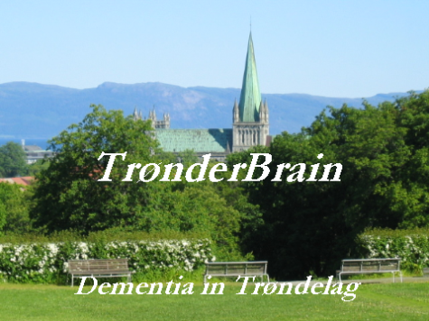 Tr&oslash;nderBrain - Dementia in Tr&oslash;ndelag