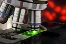Microscope