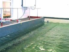 Mechanism wall, with waves clearly visible in pool