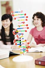 Studenter 