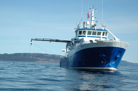 DP and ROV operation. Photo: Ø Lamo
