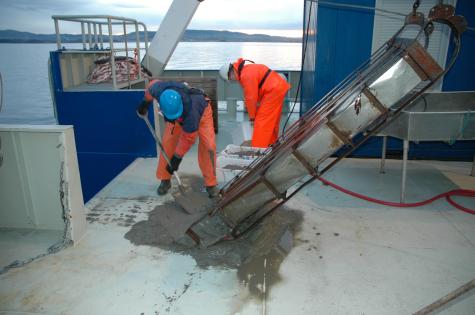 Sneli sledge benthoscruise. Photo: Torkild Bakken