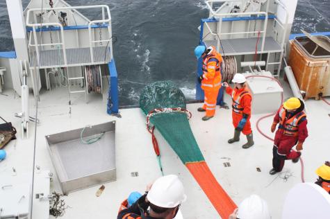 Trawling at Frohavet. Photo: E Brendboe