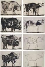  Picasso's famous bull drawing
