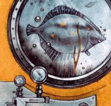 A flounder in fizzy water