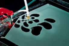 Stickslipbubbles