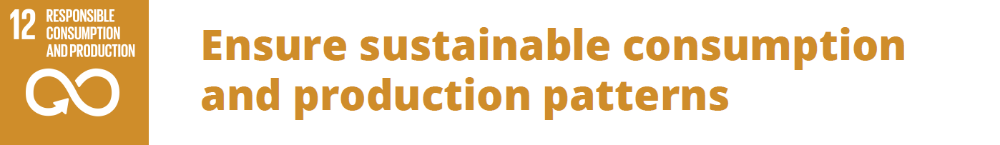 UN sustainability goal number 12 , ensure sustainable consumption and production patterns