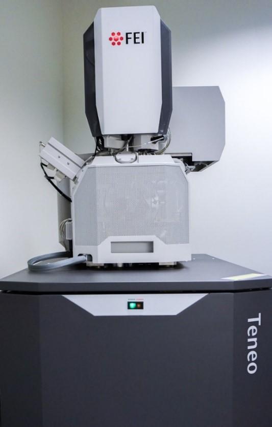 Teneo VolumeScope - a Scanning Electron Microscope
