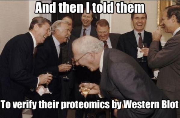 meme of Western Blots beign asked by reviwers for LC-MS proteomic experiments