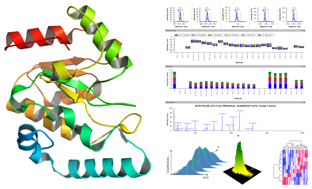 protein structure and graphics of its LC-MS analysis