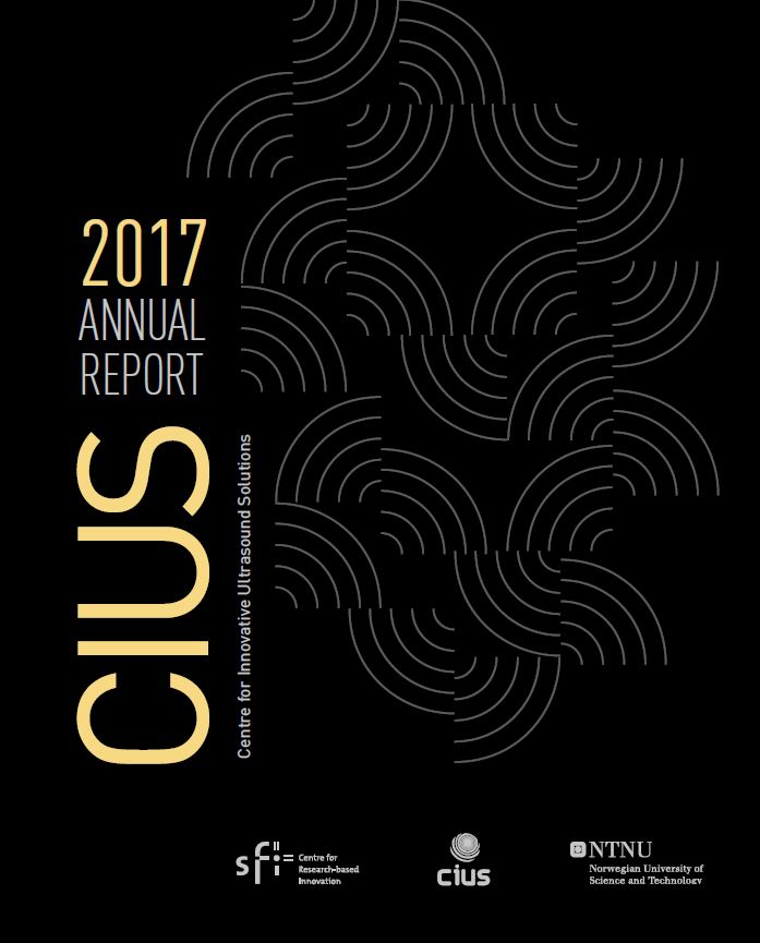 Thumbnail of CIUS annual report 2017