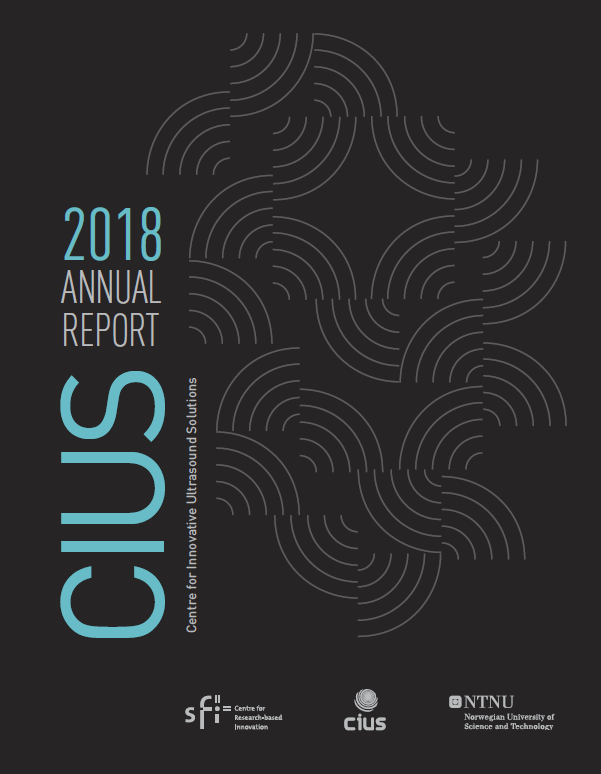 Thumbnail of CIUS annual report 2018