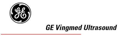 GE Vingmed Ultrasound logo