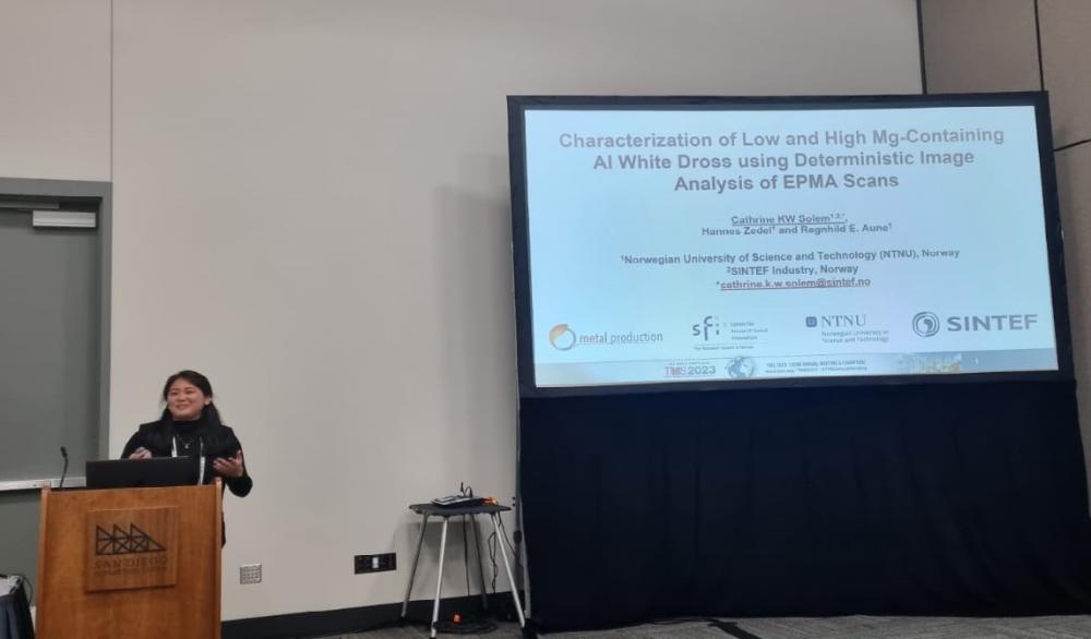 Cathrine Solem presentation. Photo