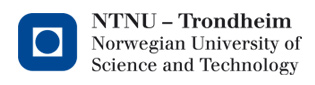 NTNU logo