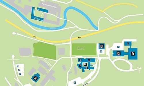 Map of campus. Illustration.