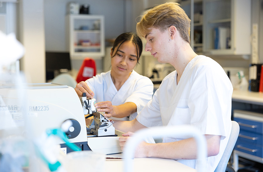 Two students working together with an experiment