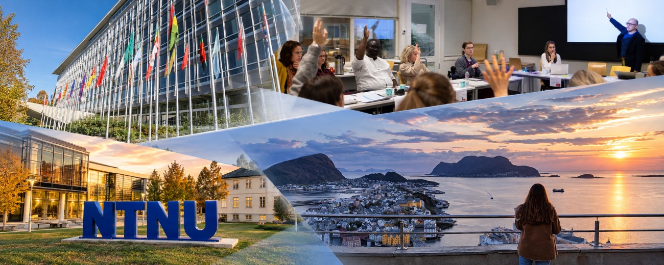 Banner with collage with photos from Ålesund and also WHO building