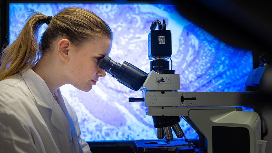 A student using a microscope