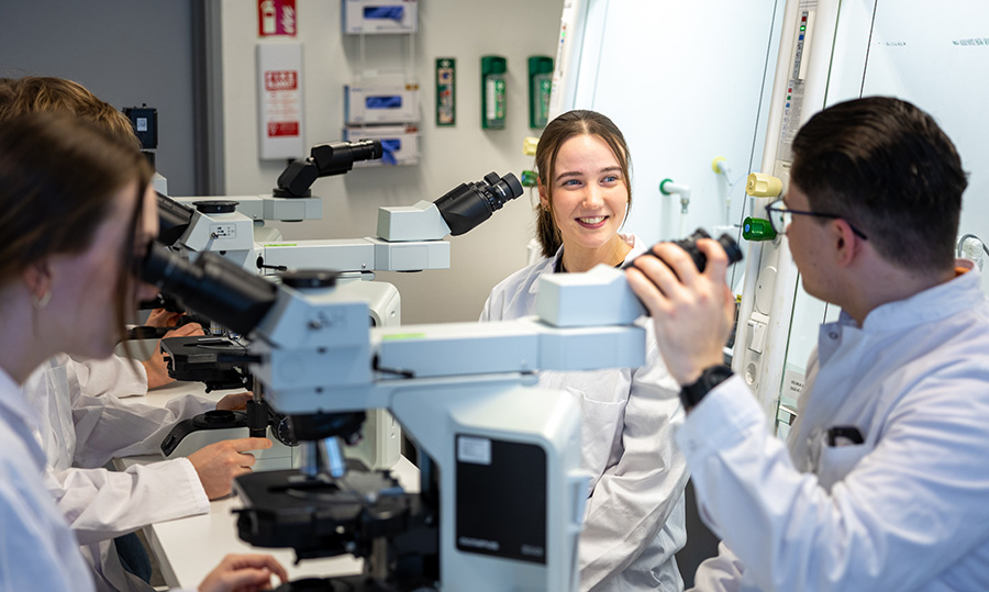 Students working with microscopes in a laboratory