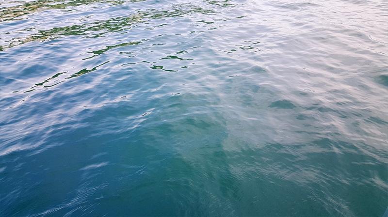 Sea water. Photo
