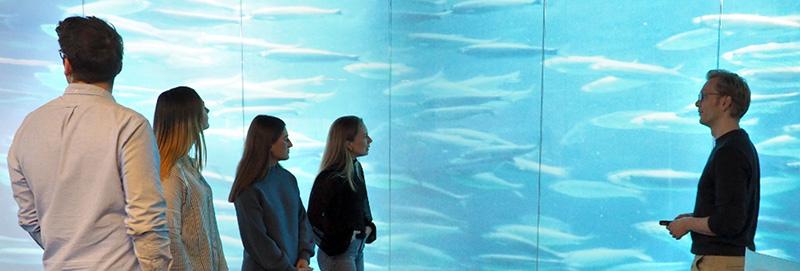 Lars C. Gansel with students in front of a big screen with swimming salmon. Photo