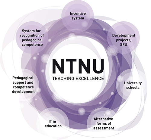 NTNU Teaching Excellence, model
