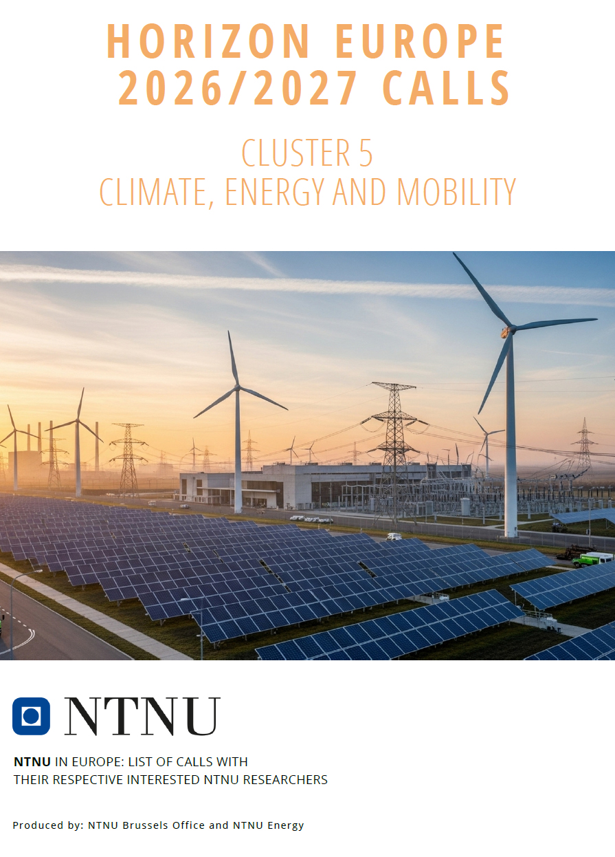 Cluster 5 front page brochure