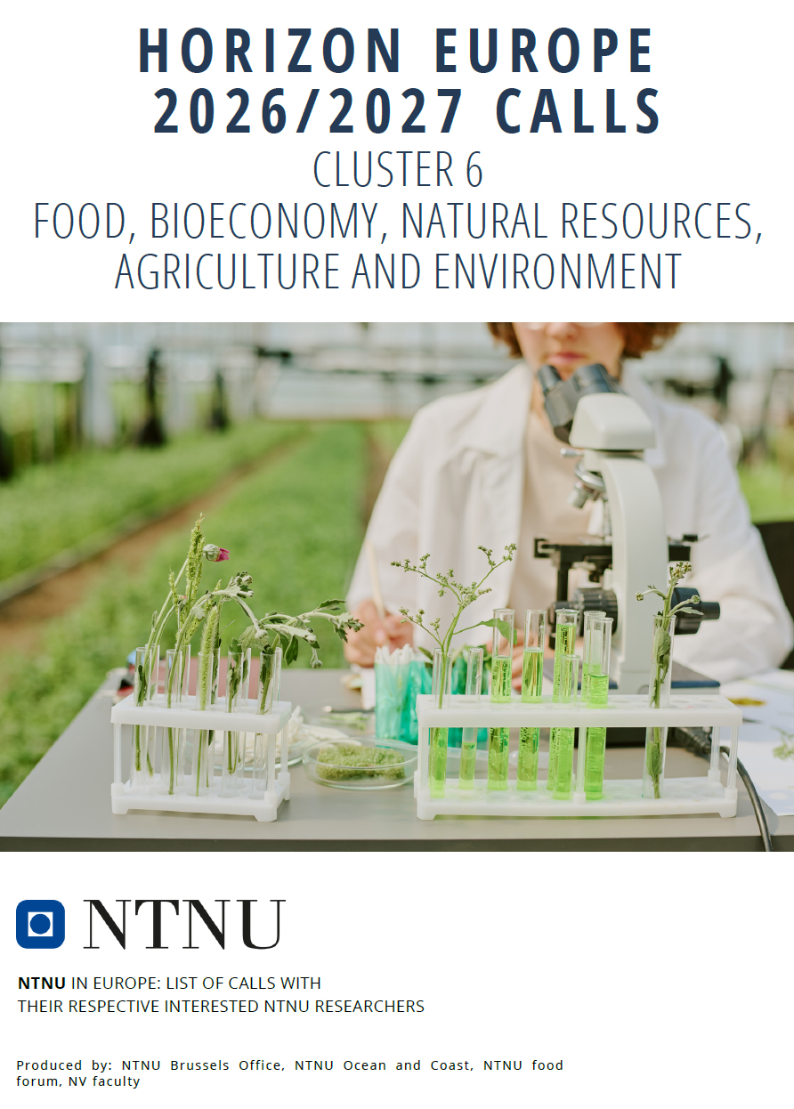 Cluster 6 front page brochure