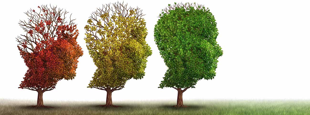 Three heads/trees. Red, yellow and green. AdobeStock photo