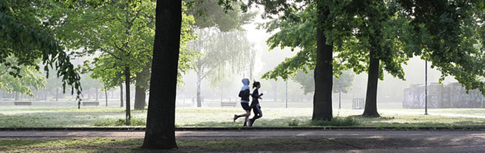 To personer jogger på en sti i en park omgitt av høye, grønne trær. Morgensolen skaper et lett tåkeslør i bakgrunnen, og det er benker og gressområder synlige mellom trærne. Foto
