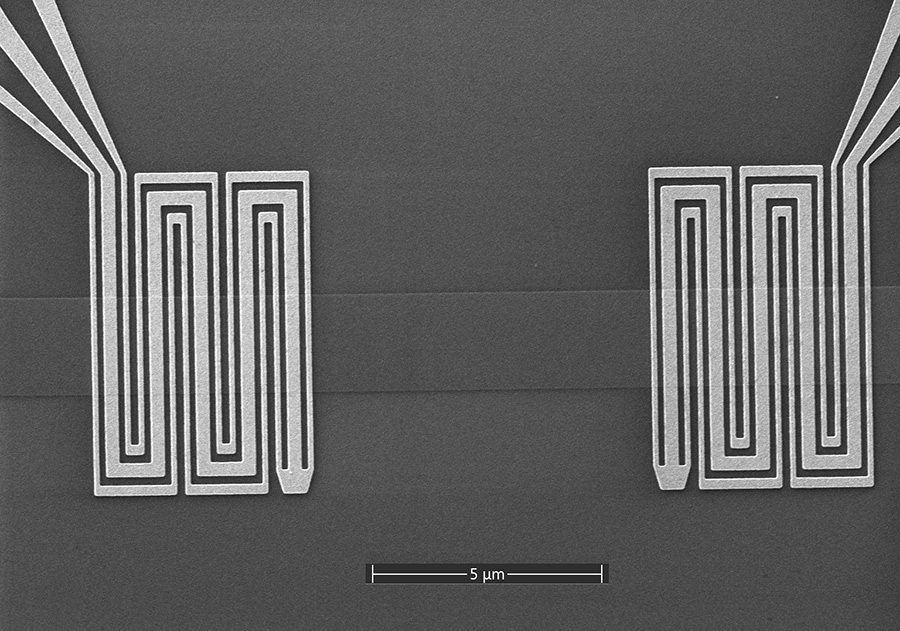 Experimental lab image. Microscope image