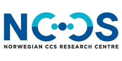 NCCS's website. Logo