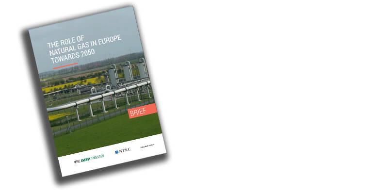 Book about report on the role of natural gas in europe towards 2050. Graphics